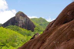 De la verdure aux Seychelles
