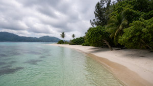La plage à Cerf Island