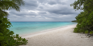 Une plage à Denis Island